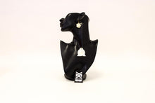 Load image into Gallery viewer, James Ahmat - Necklace & Earring Sets (Various)