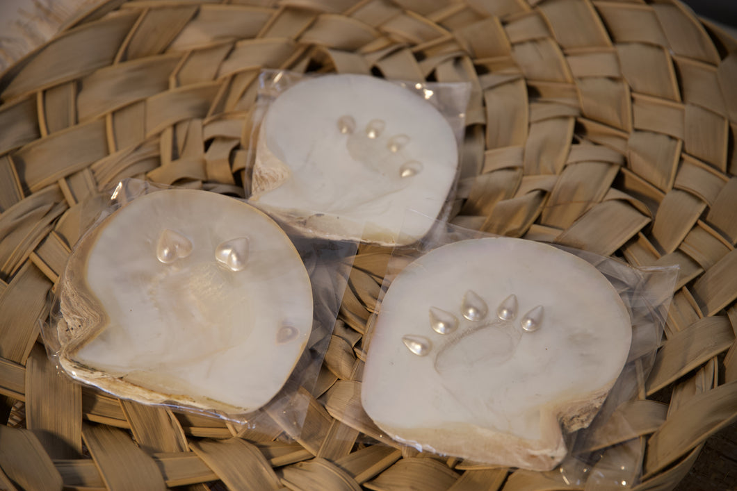 Kazu Pearl - Blister Pearl Shells