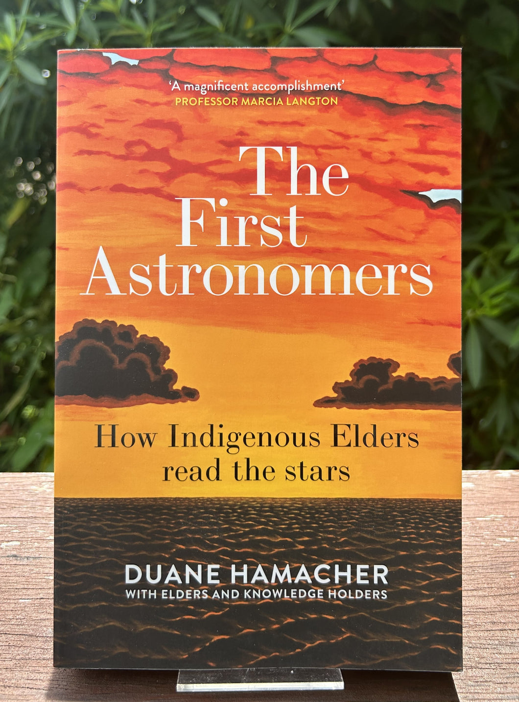 Book - The First Astronomers