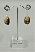 Load image into Gallery viewer, Nancy Mola - Earring Shell  Assorted
